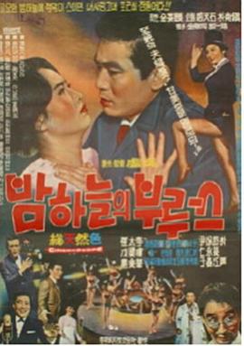 밤하늘의 부르스