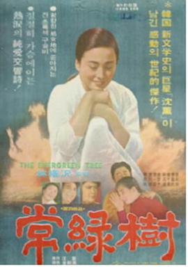 常绿树