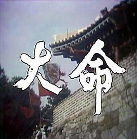 大命