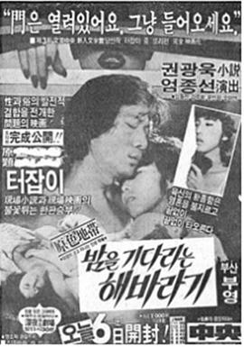 밤을 기다리는 해바라기