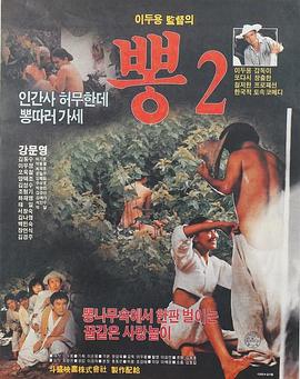 桑树 2