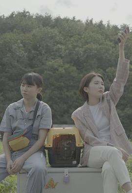 냉장고 안의 코끼리