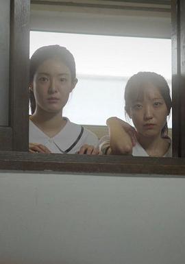 비비탄