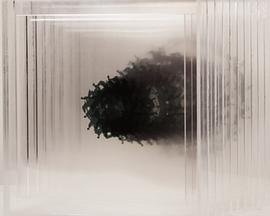 그림자의 방