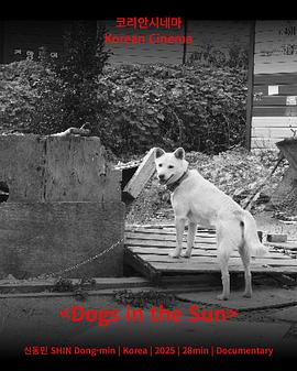 Dogs in the Sun