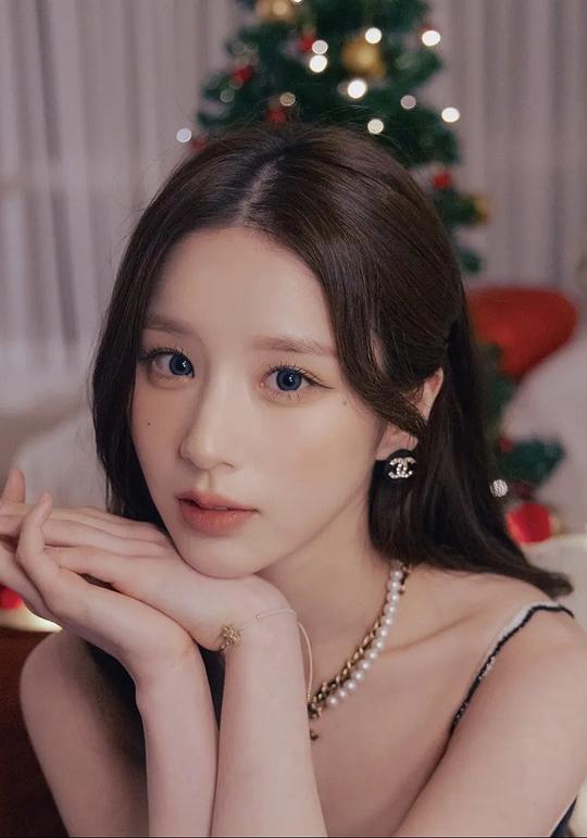 田姬振